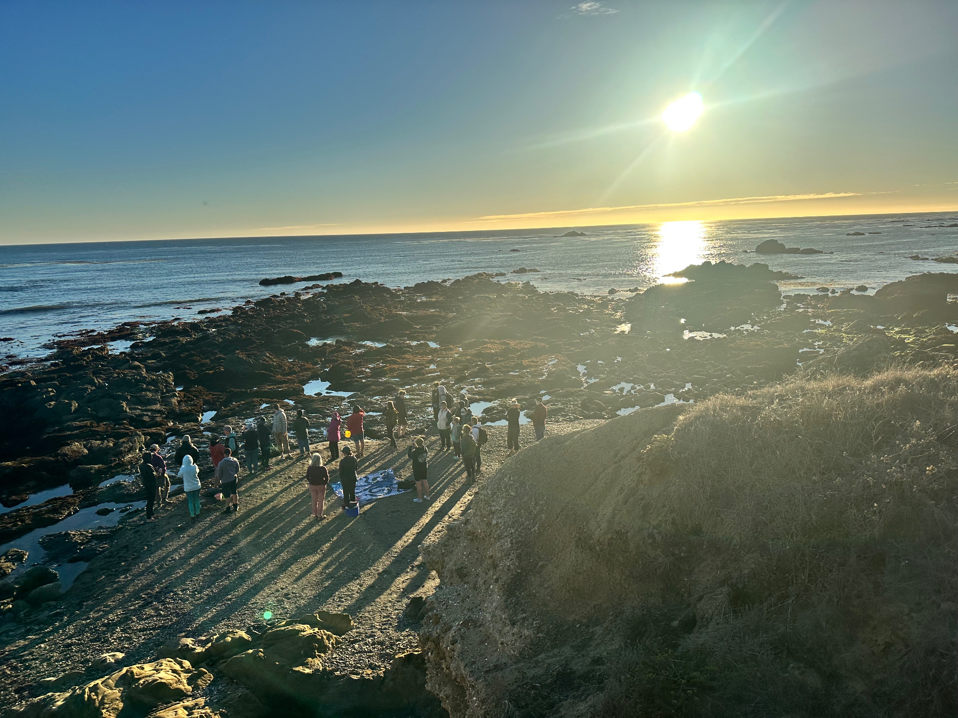 A group gathered on a rocky reef at sunset during an extreme low tide, tidepools catching the light